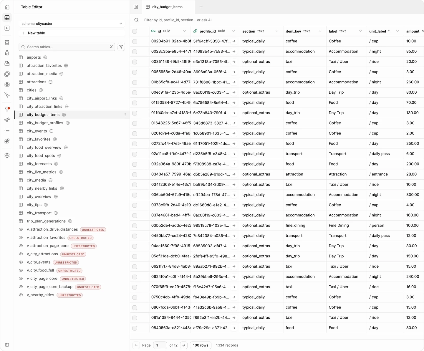 The city_budget_items table: every cost as a row, with its section, label, unit and amount
